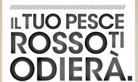 campagna referendum acqua pubblica, 2 sì o sono cazzi