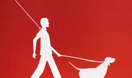 teatrino, feltrinelli, galimberti